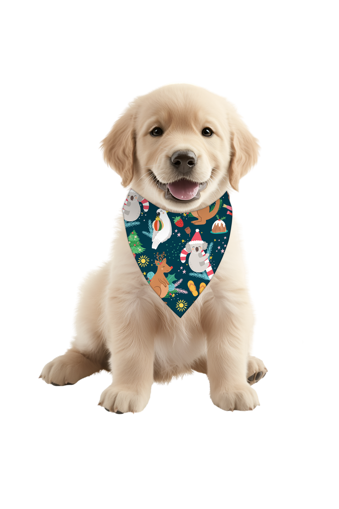 dog christmas outfit