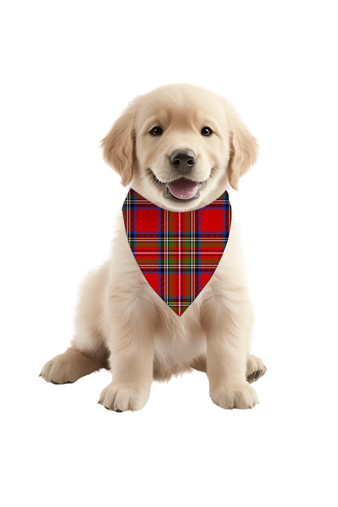 dog tartan christmas bandana