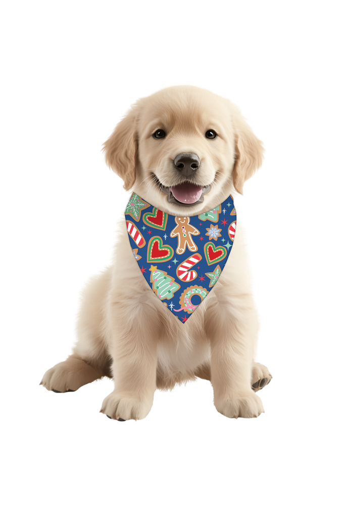 dog christmas outfit