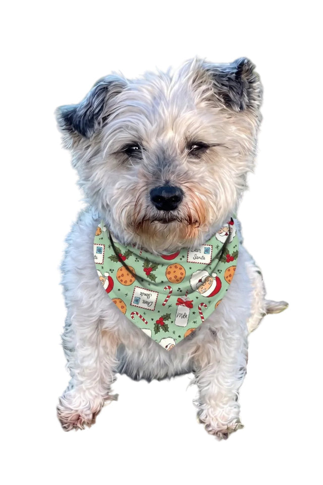 Luxe Bamboo Dear Santa Dog Bandana