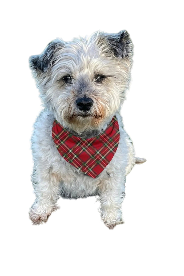Luxe Bamboo Red Tartan Dog Bandana